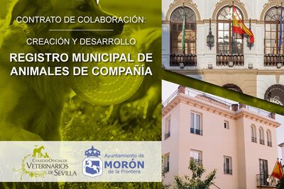 La renovación del convenio permite dar continuidad a un instrumento necesario para el cumplimiento de las obligaciones municipales en materia de protección animal